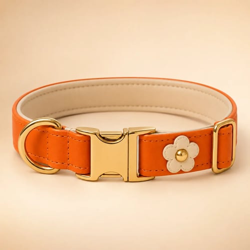 Coleira Flor Cacau Gold