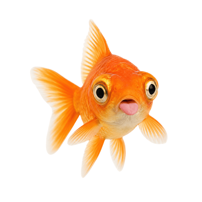 Fishes